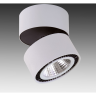 Светильник накладной LIGHTSTAR FORTE MURO 213850
