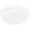 Светильник накладной LIGHTSTAR URBANO 216902
